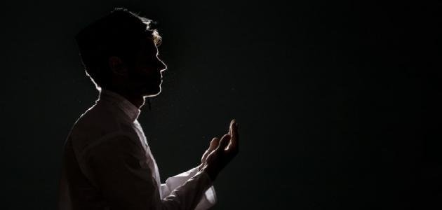 كيفية صلاة الشفع والوتر وقيام الليل