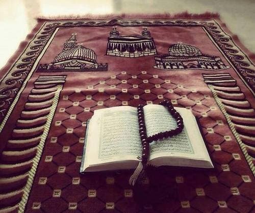 وجوب الصلاة وحكم تاركها