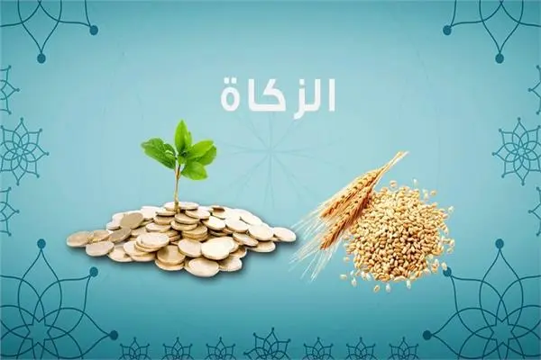 ما هي الأموال التي تجب فيها الزكاة وما هو حد النصاب