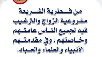 فقه الأسرة وأخلاقيات الزواج
