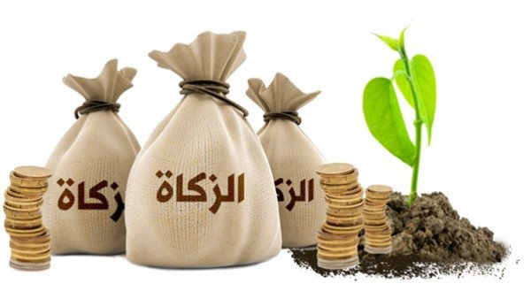الزكاة في المال