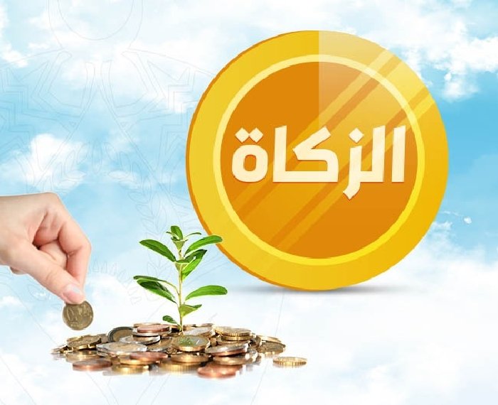 الزكاة في المال