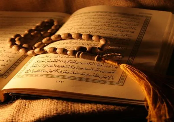 تحديد أحكام المعاملات