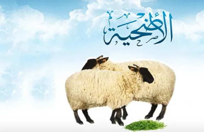 الأضحية في الإسلام
